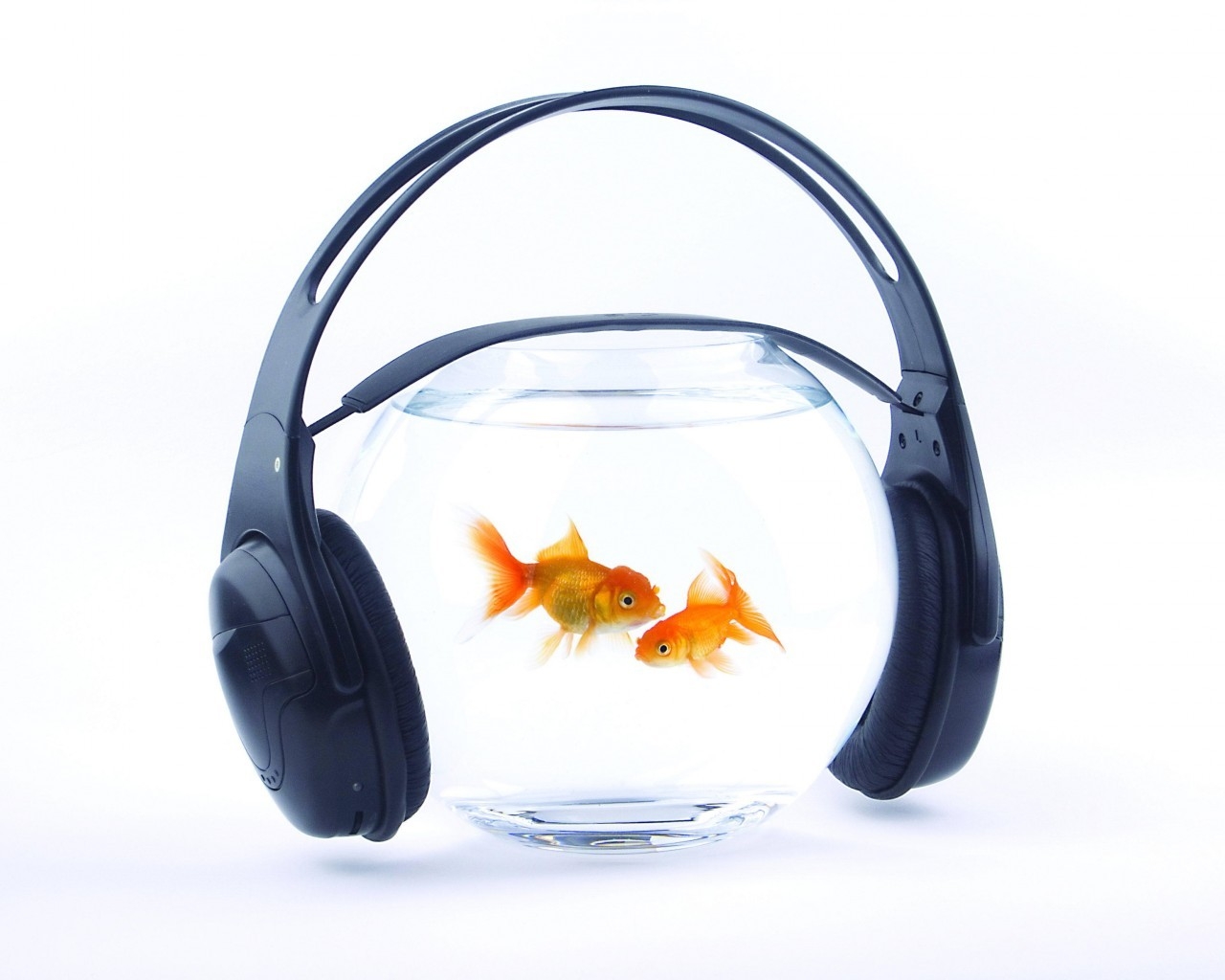 Music for Fishes for 1280 x 1024 resolution