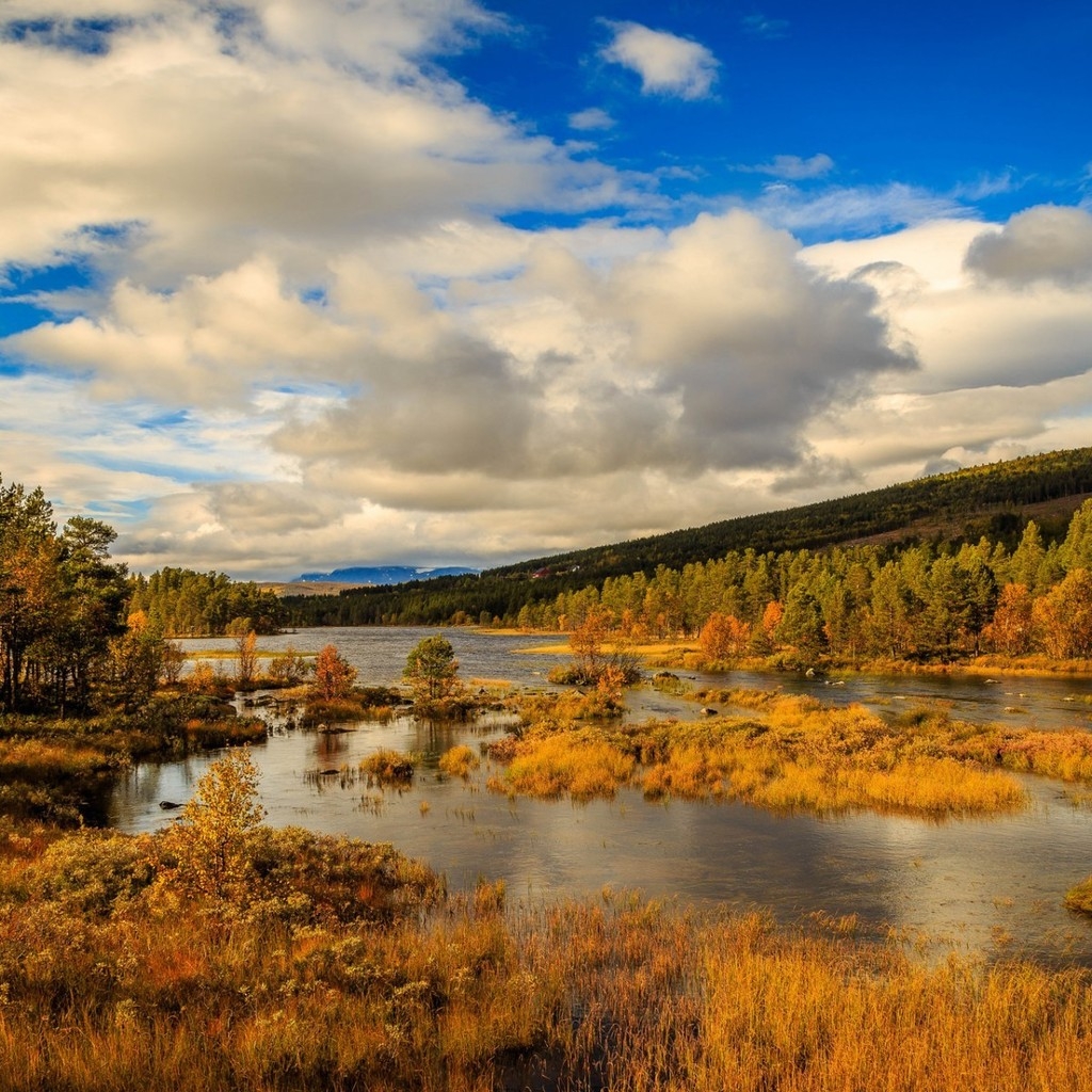 Norway Autumn Landscape for 1024 x 1024 iPad resolution