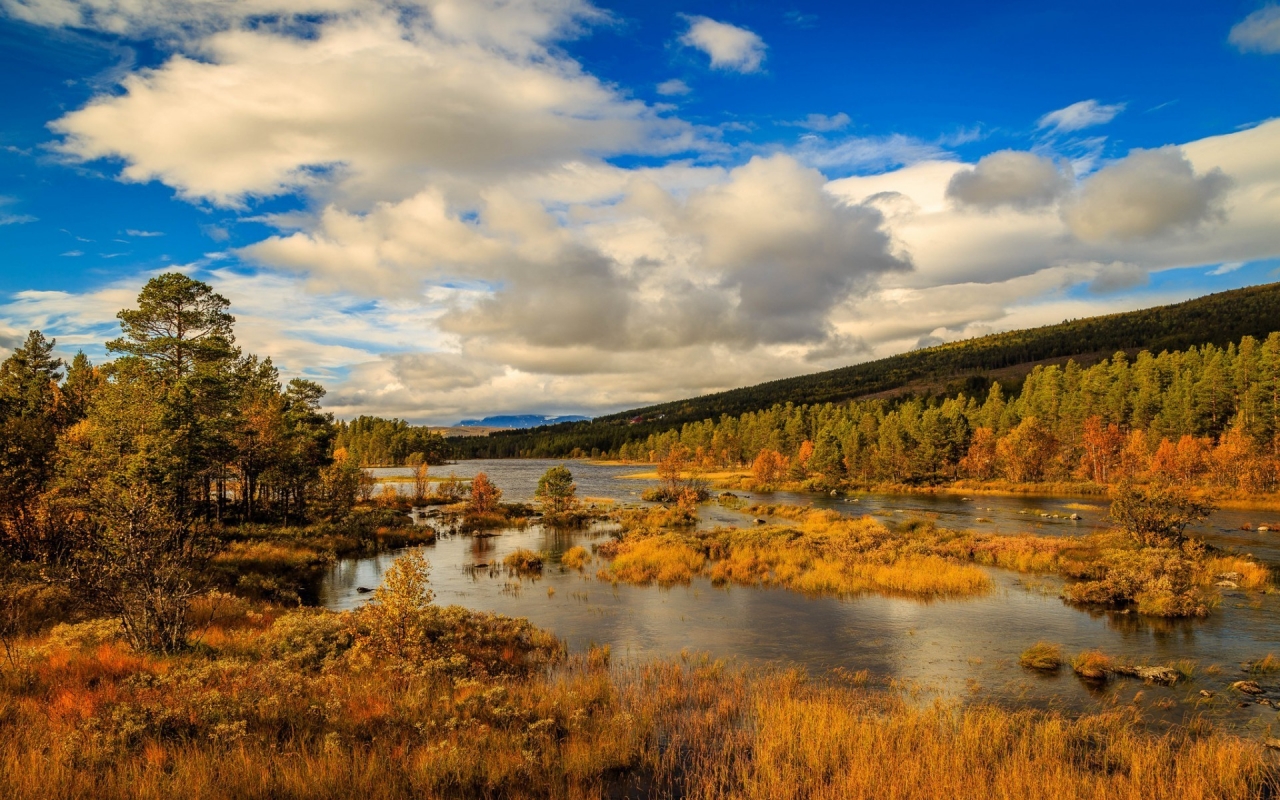 Norway Autumn Landscape for 1280 x 800 widescreen resolution