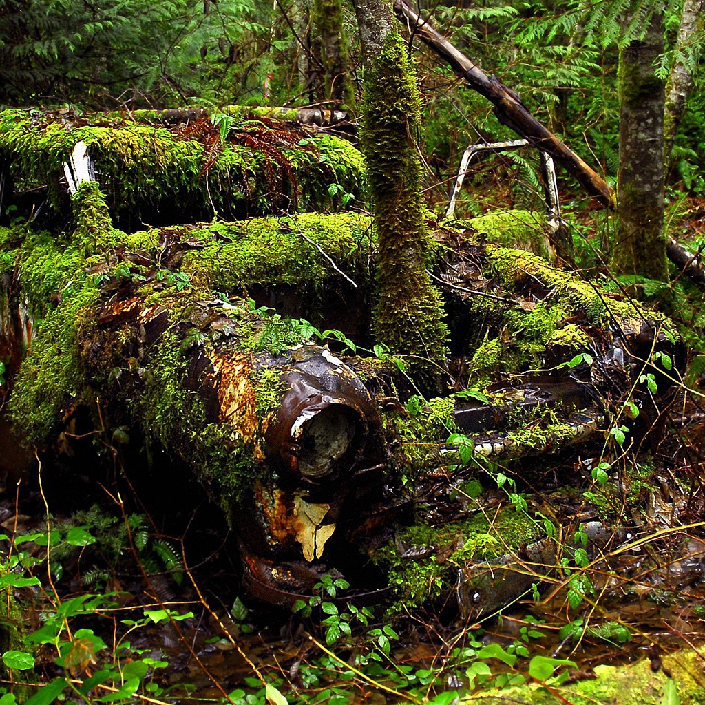 Old Car and Forest for 1024 x 1024 iPad resolution