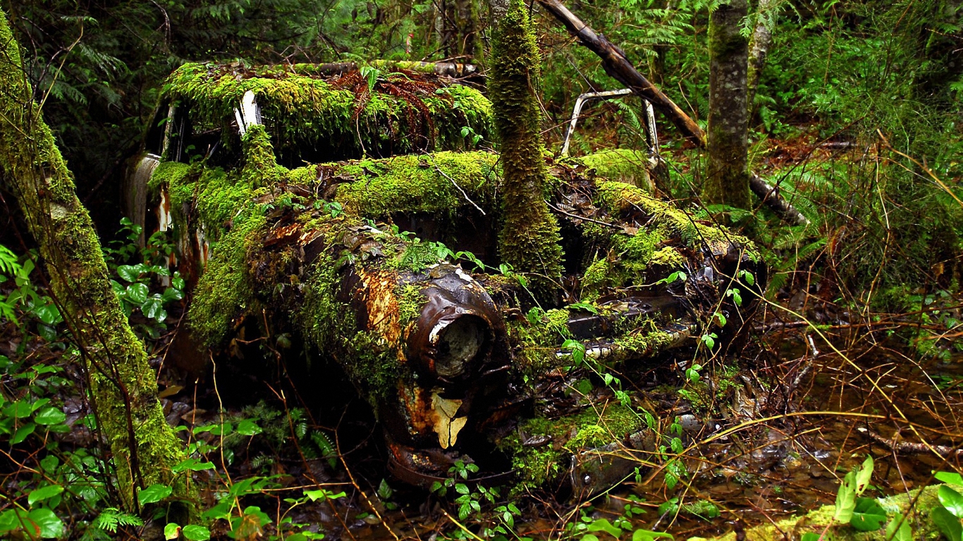 Old Car and Forest for 1366 x 768 HDTV resolution