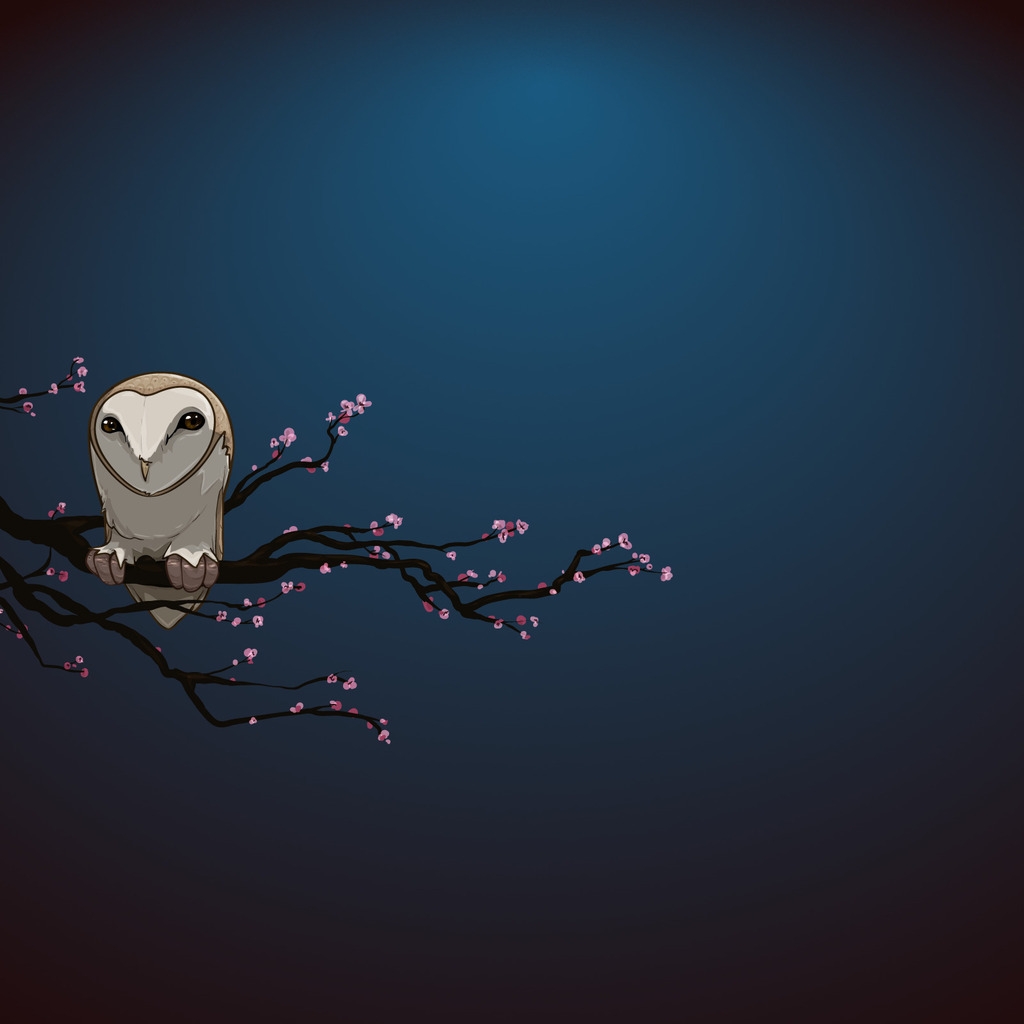Owl Alone for 1024 x 1024 iPad resolution