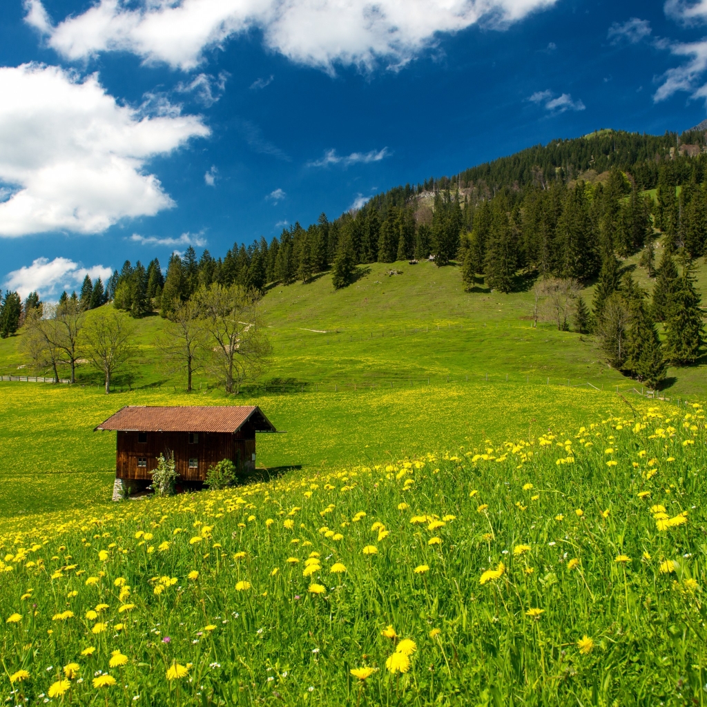 Pasture in the Bavarian Alp for 1024 x 1024 iPad resolution
