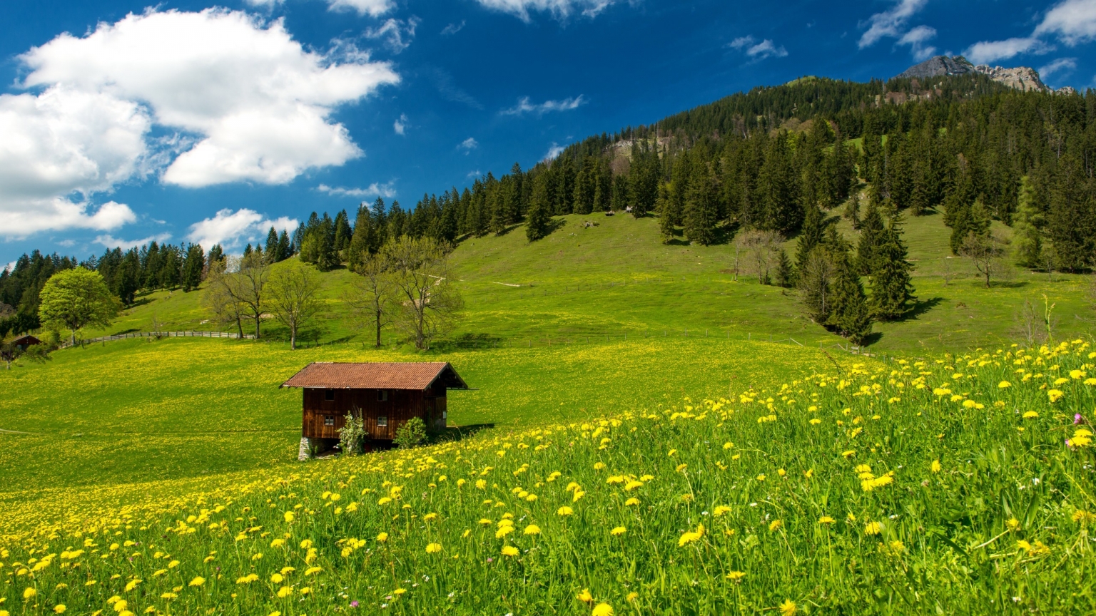 Pasture in the Bavarian Alp for 1536 x 864 HDTV resolution