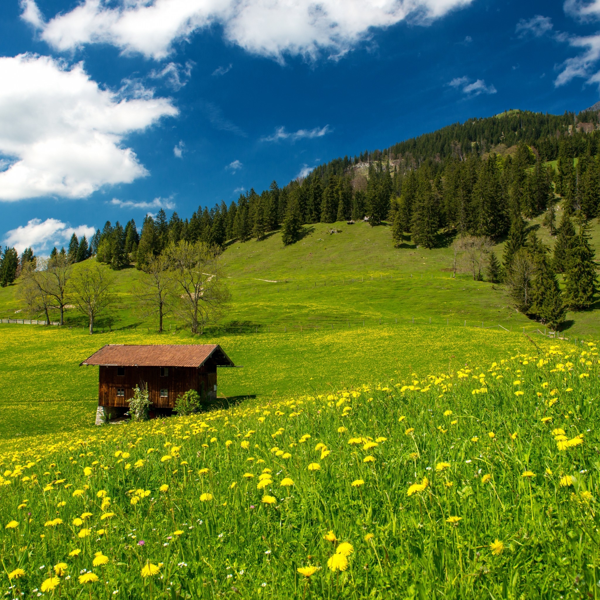 Pasture in the Bavarian Alp for 2048 x 2048 New iPad resolution