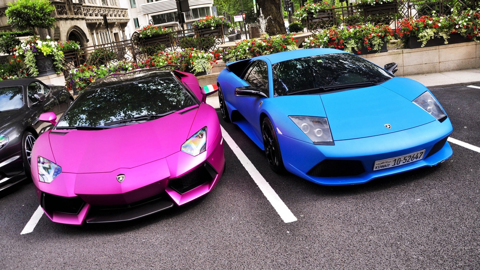 Pink and Blue Lamborghini for 1600 x 900 HDTV resolution