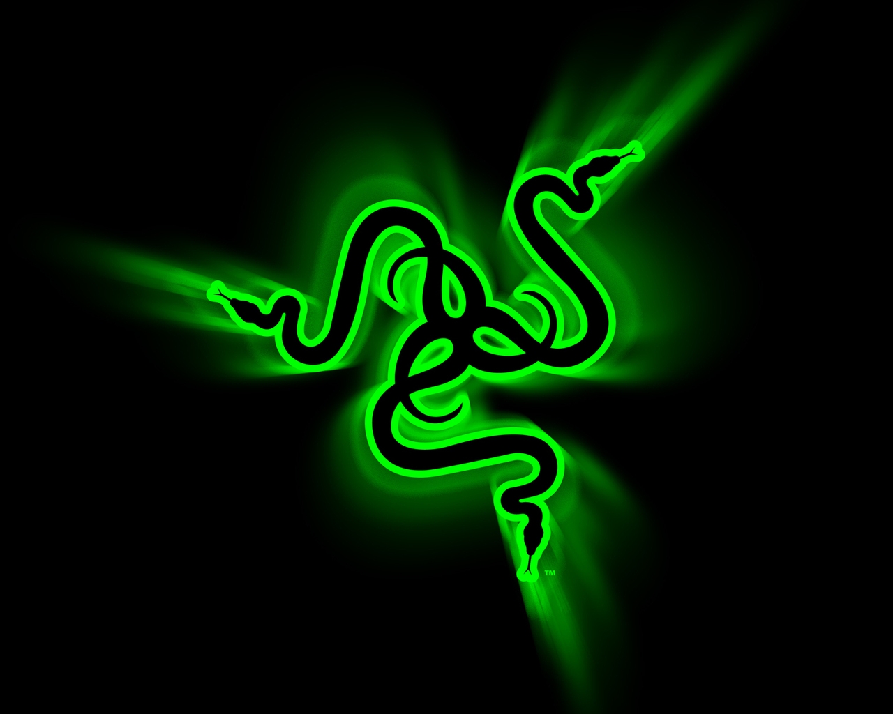 Razer Logo for 1280 x 1024 resolution