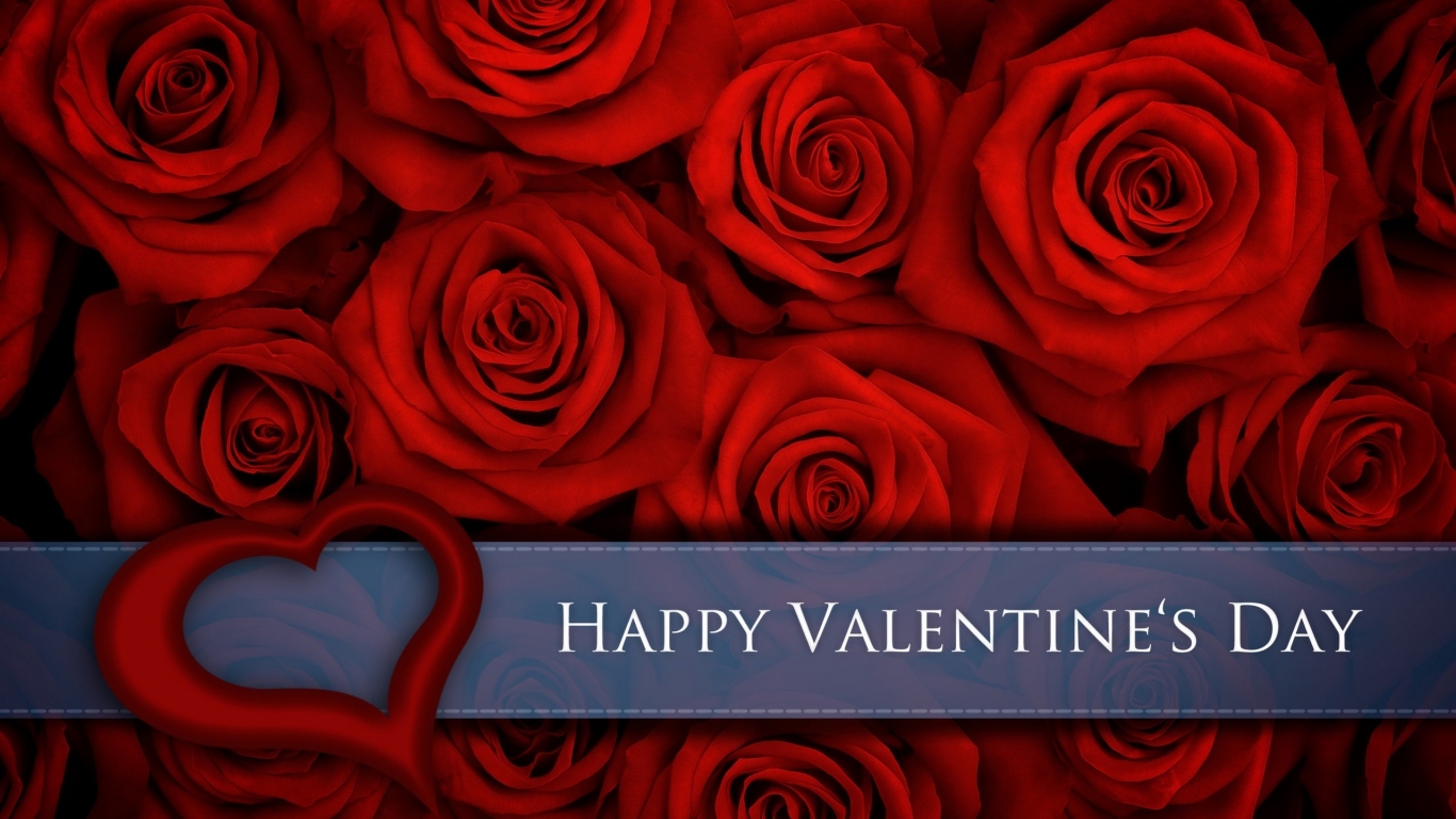 Red Roses for Valentines Day for 1366 x 768 HDTV resolution