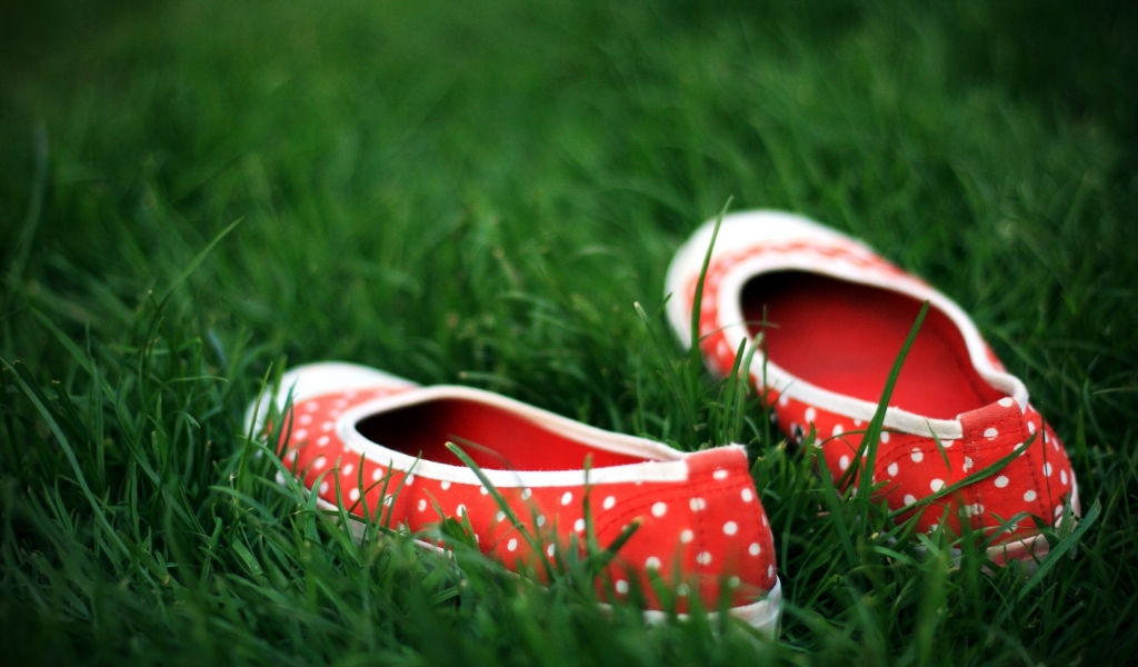 Red Shoes in the grass for 1024 x 600 widescreen resolution