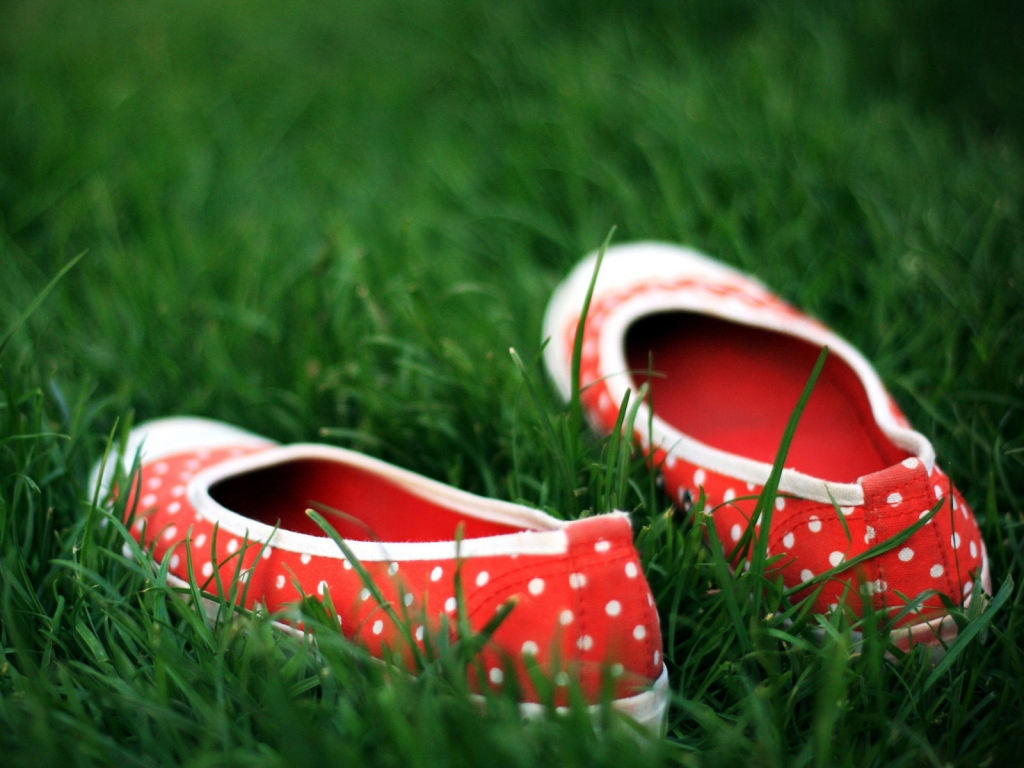 Red Shoes in the grass for 1024 x 768 resolution