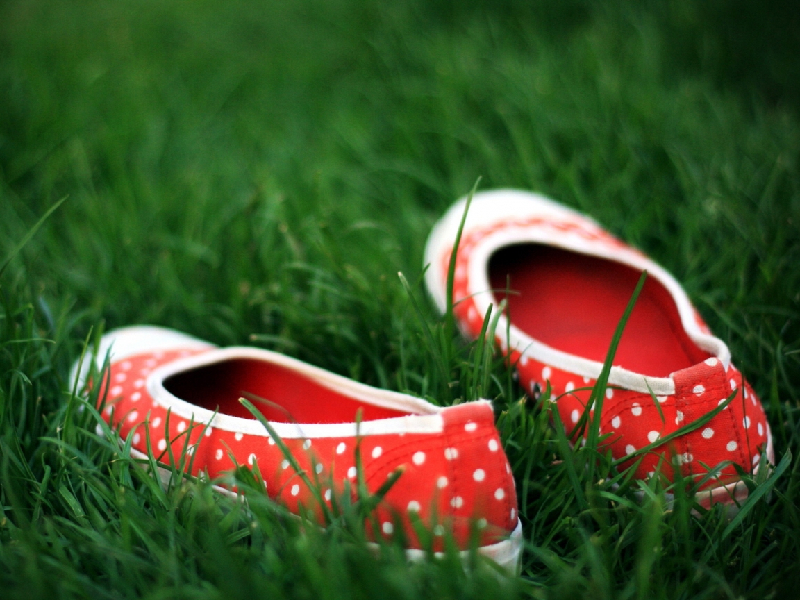 Red Shoes in the grass for 1152 x 864 resolution