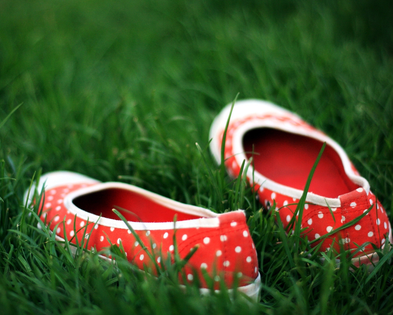 Red Shoes in the grass for 1280 x 1024 resolution