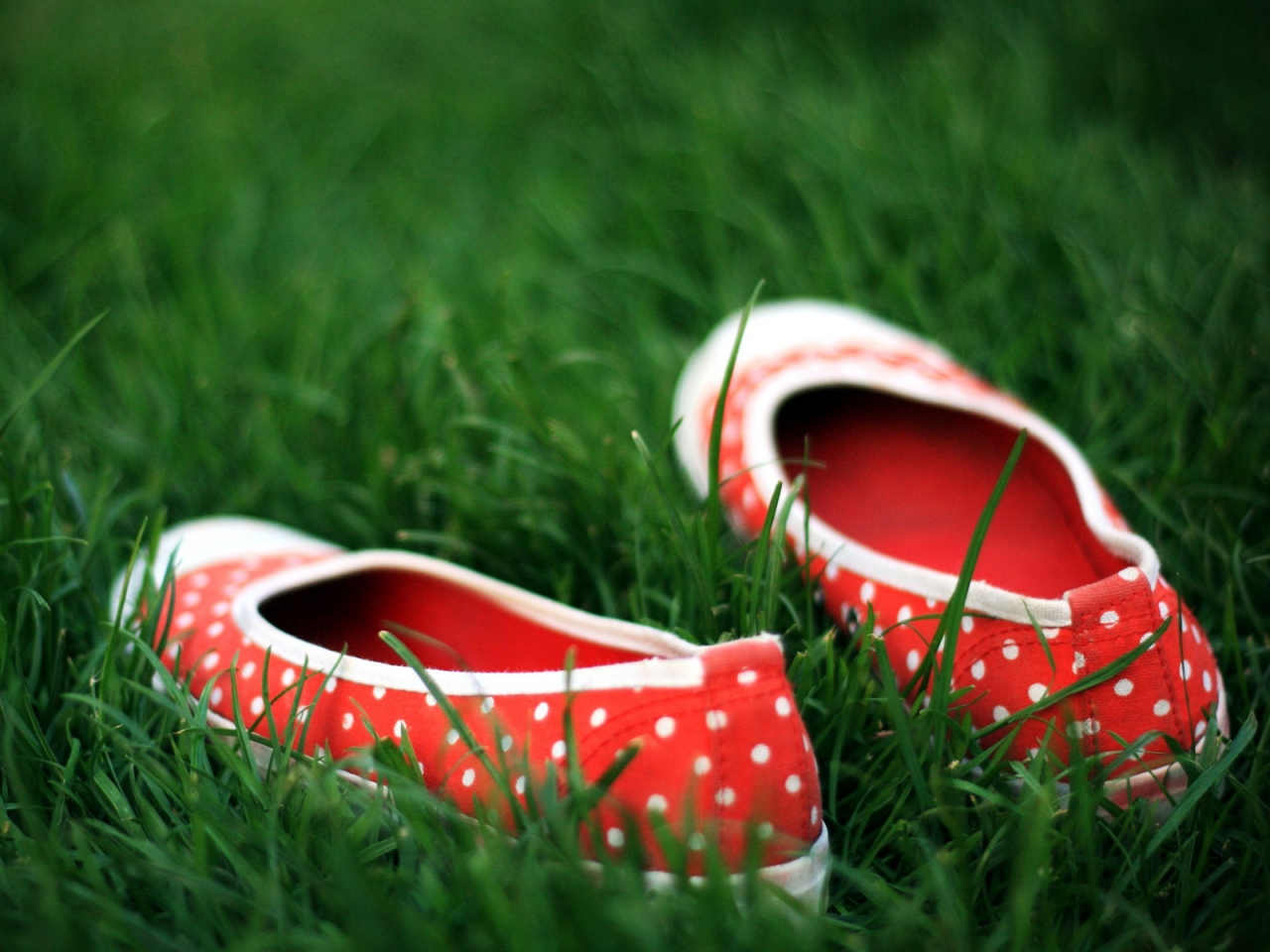 Red Shoes in the grass for 1280 x 960 resolution