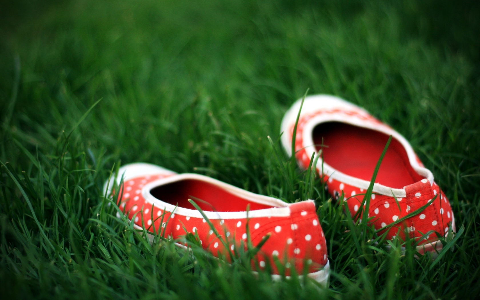Red Shoes in the grass for 1680 x 1050 widescreen resolution
