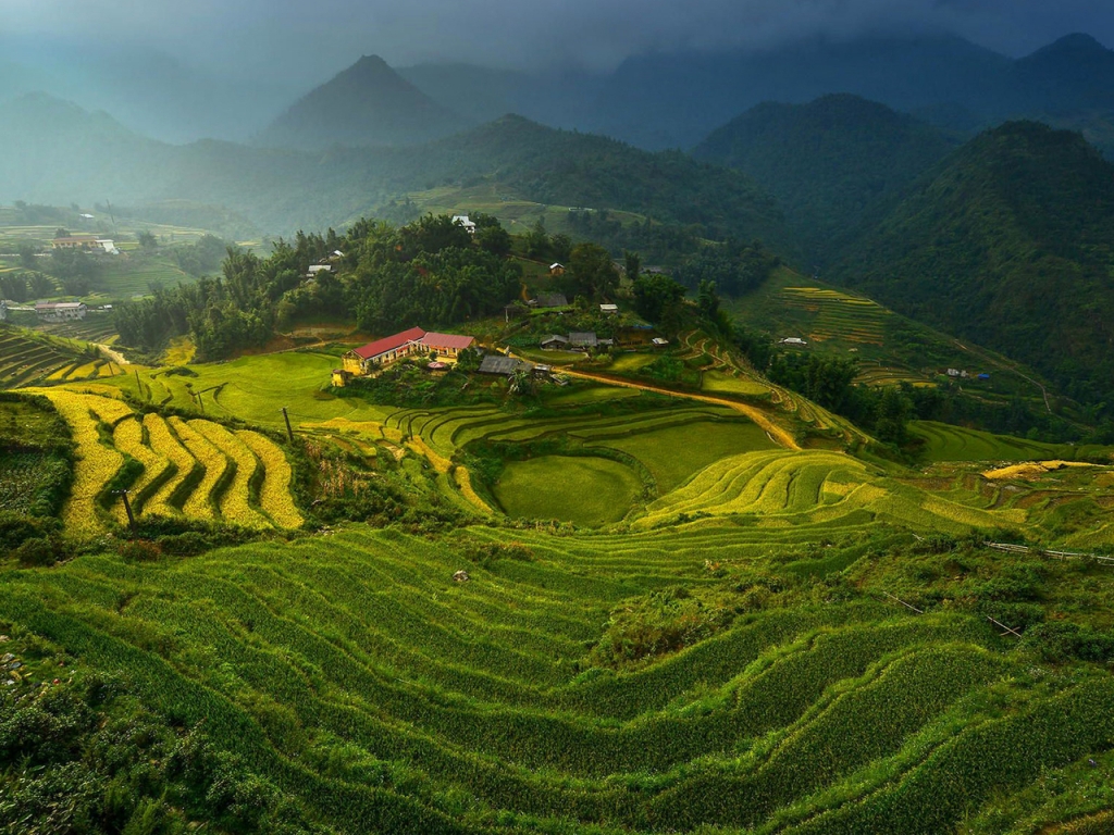 Rice Terraces in Vietnam for 1024 x 768 resolution