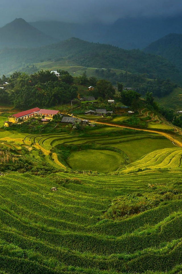 Rice Terraces in Vietnam for 640 x 960 iPhone 4 resolution