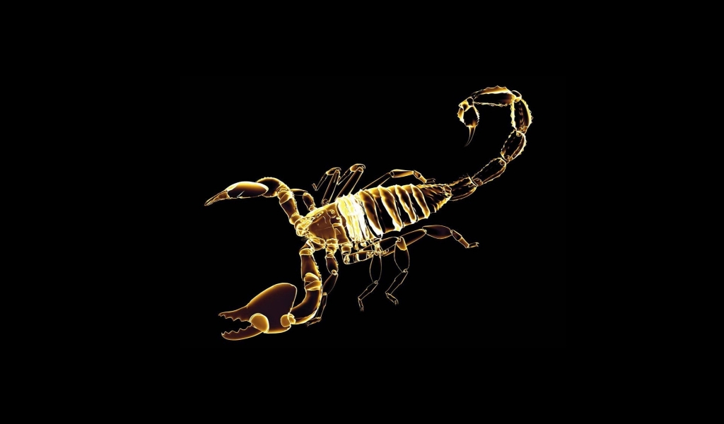 Scorpion for 1024 x 600 widescreen resolution