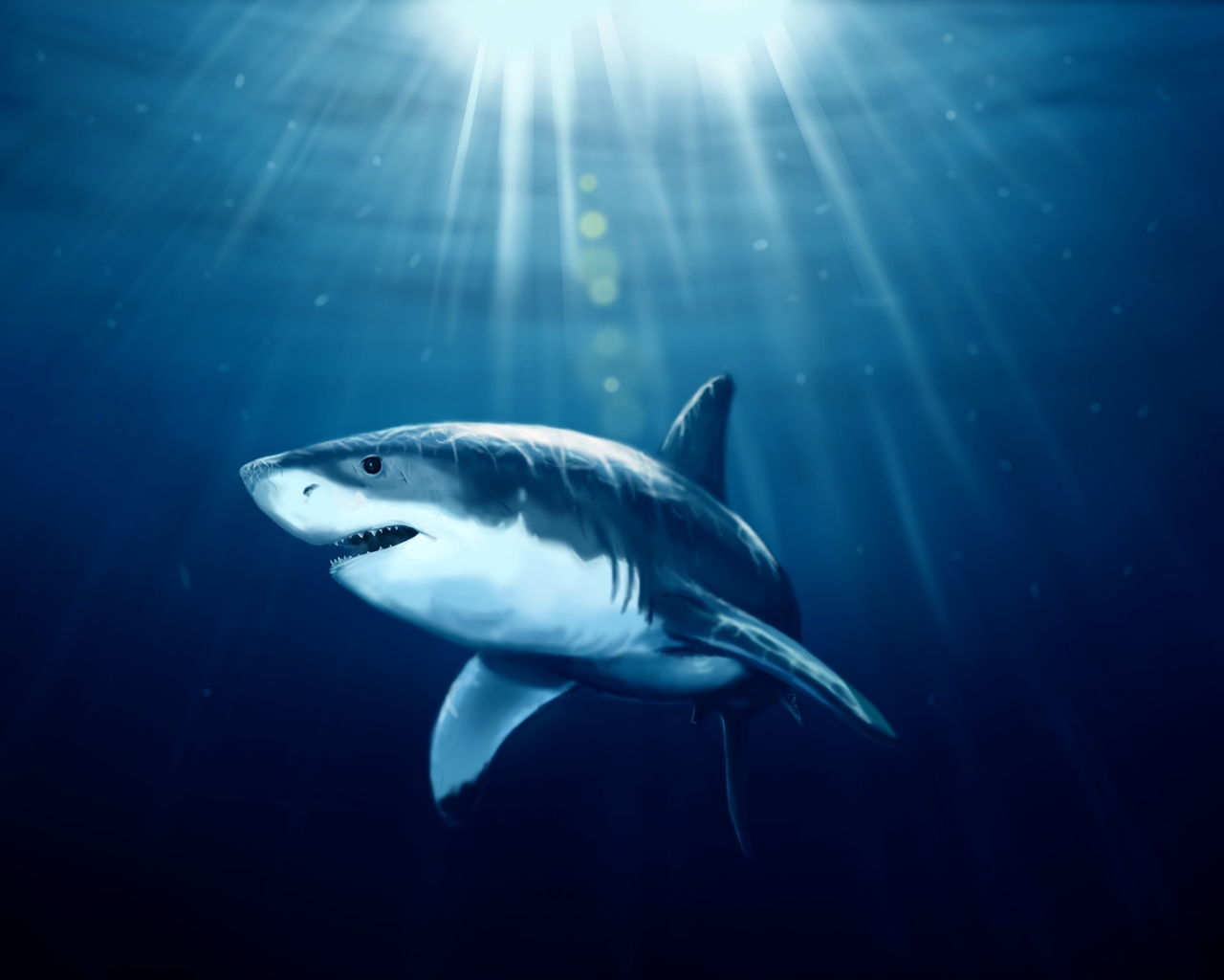 Shark Under Water for 1280 x 1024 resolution
