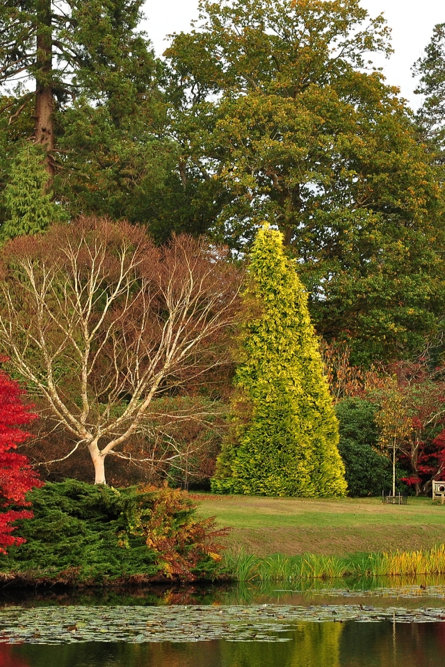  Sheffield Park Garden for 640 x 960 iPhone 4 resolution