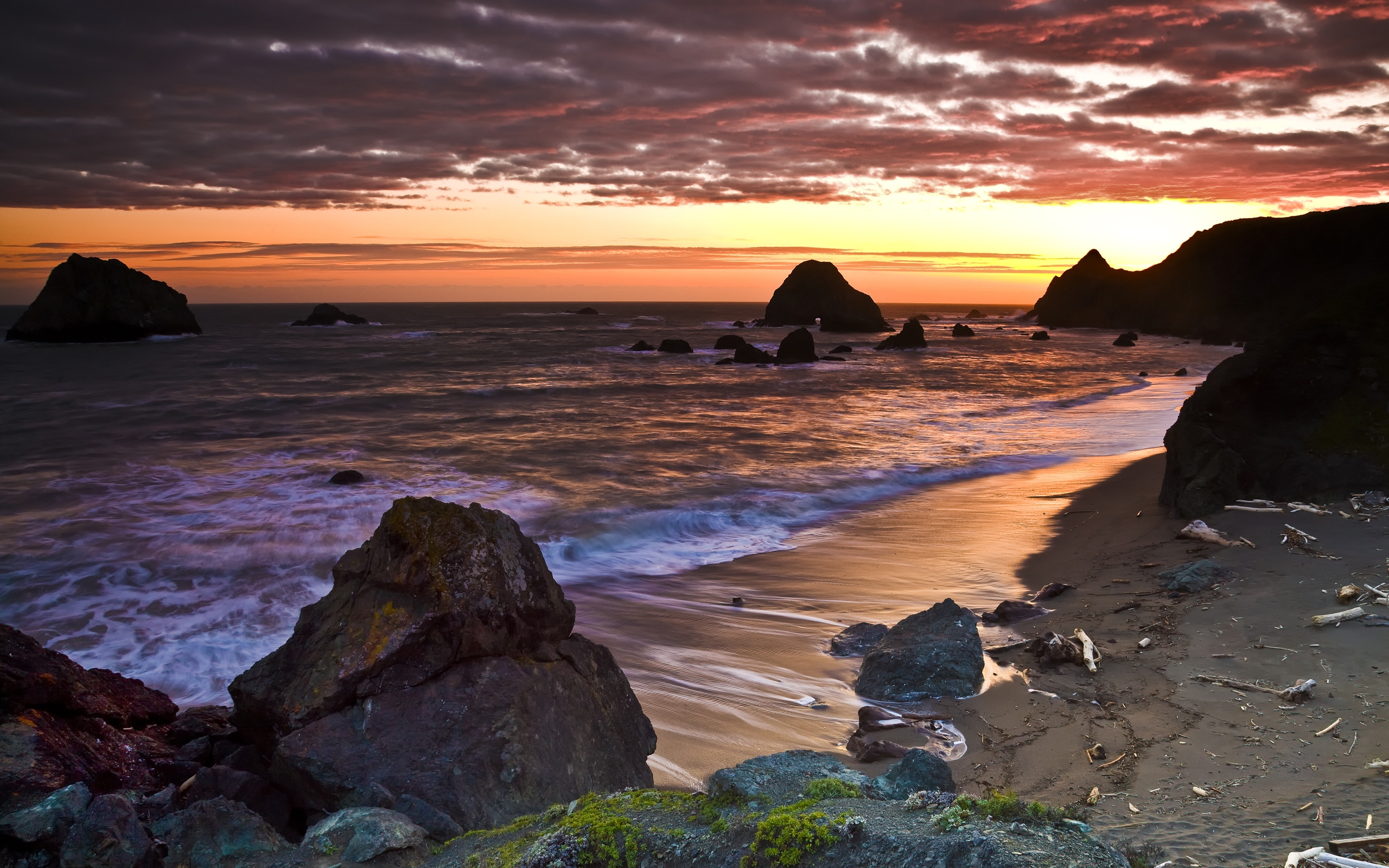 Sonoma Coast for 2560 x 1600 widescreen resolution
