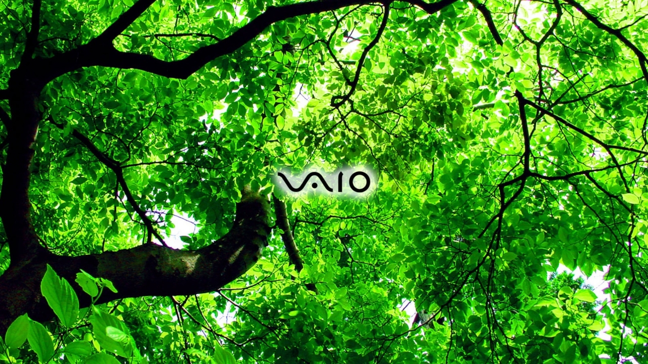Sony Vaio green for 1280 x 720 HDTV 720p resolution