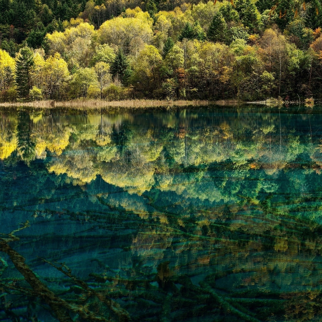 Spectacular Lake Reflection for 1024 x 1024 iPad resolution