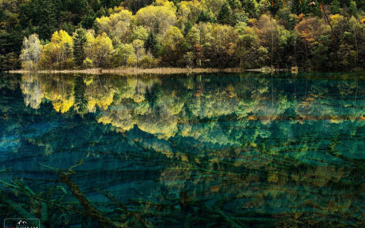Spectacular Lake Reflection for 1280 x 800 widescreen resolution
