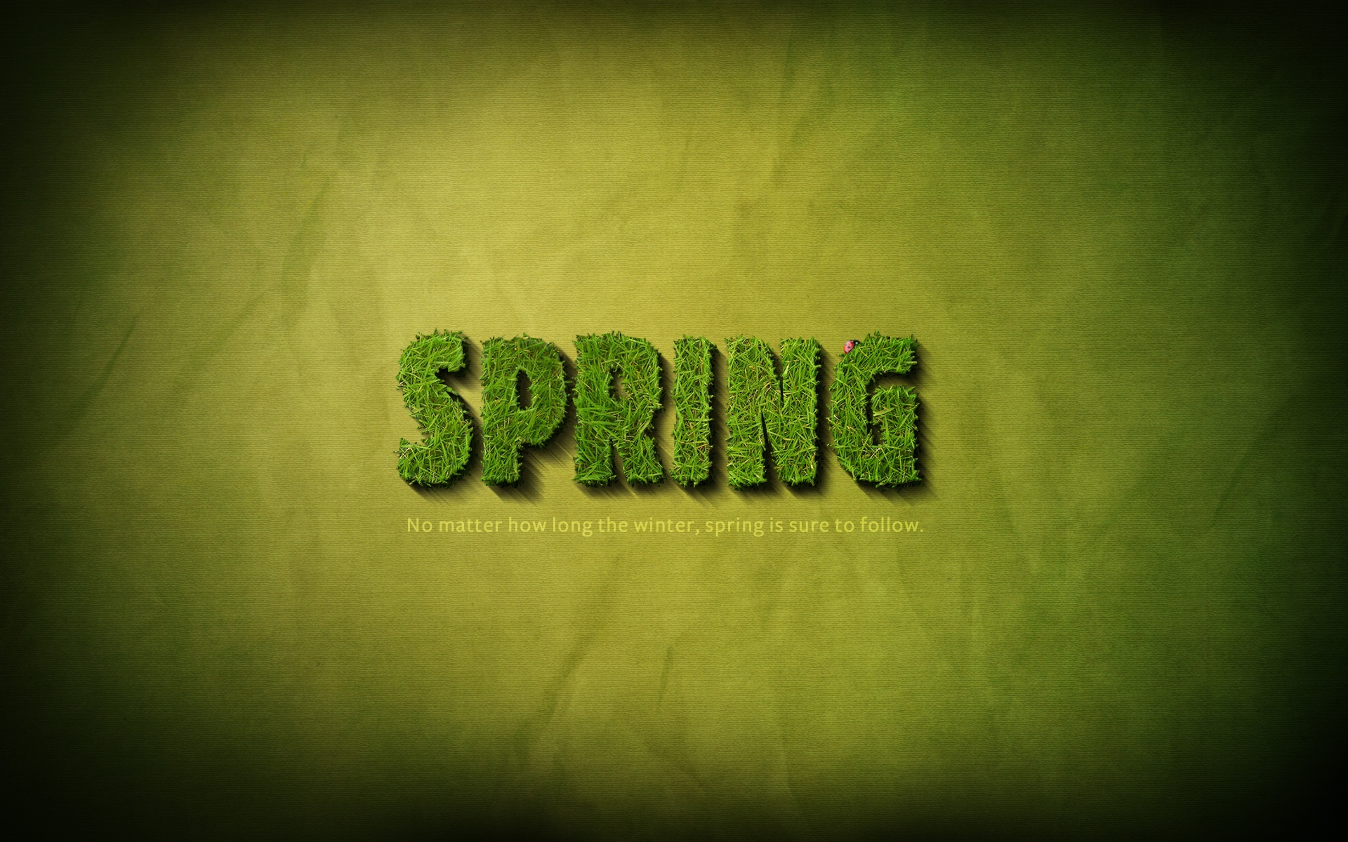 Spring Time Background for 1920 x 1200 widescreen resolution