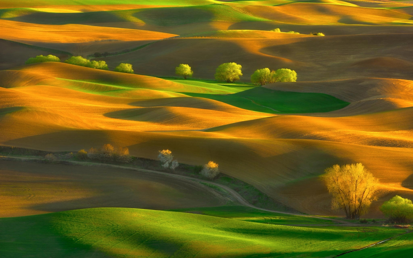 Steptoe Butte State Park Washington for 1440 x 900 widescreen resolution