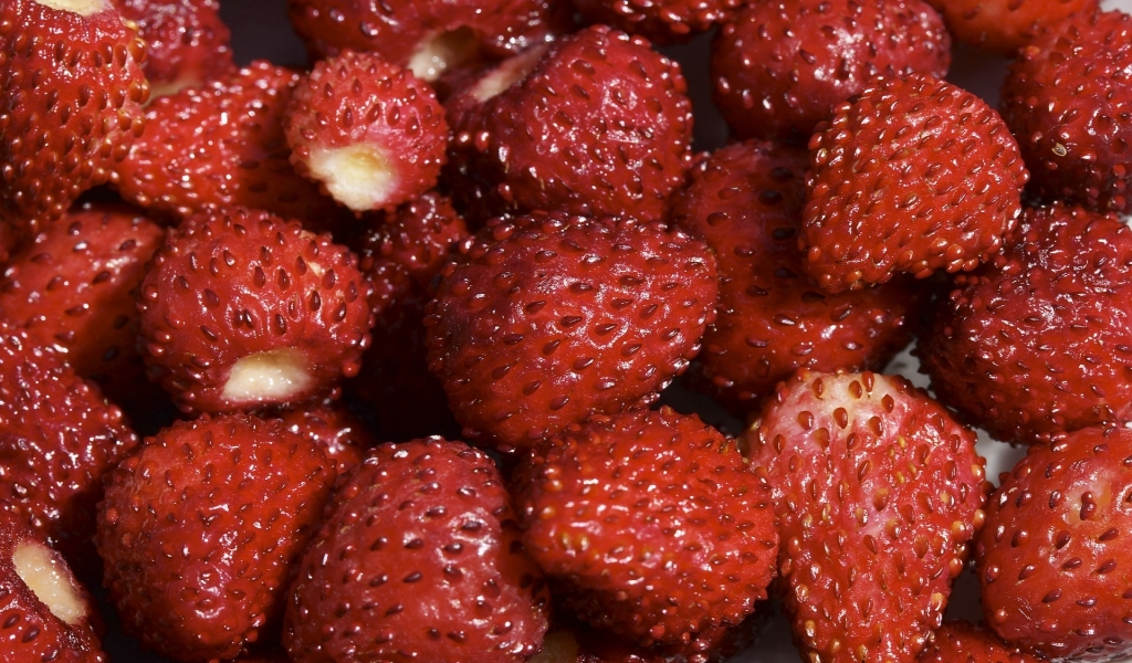 Strawberries for 1024 x 600 widescreen resolution