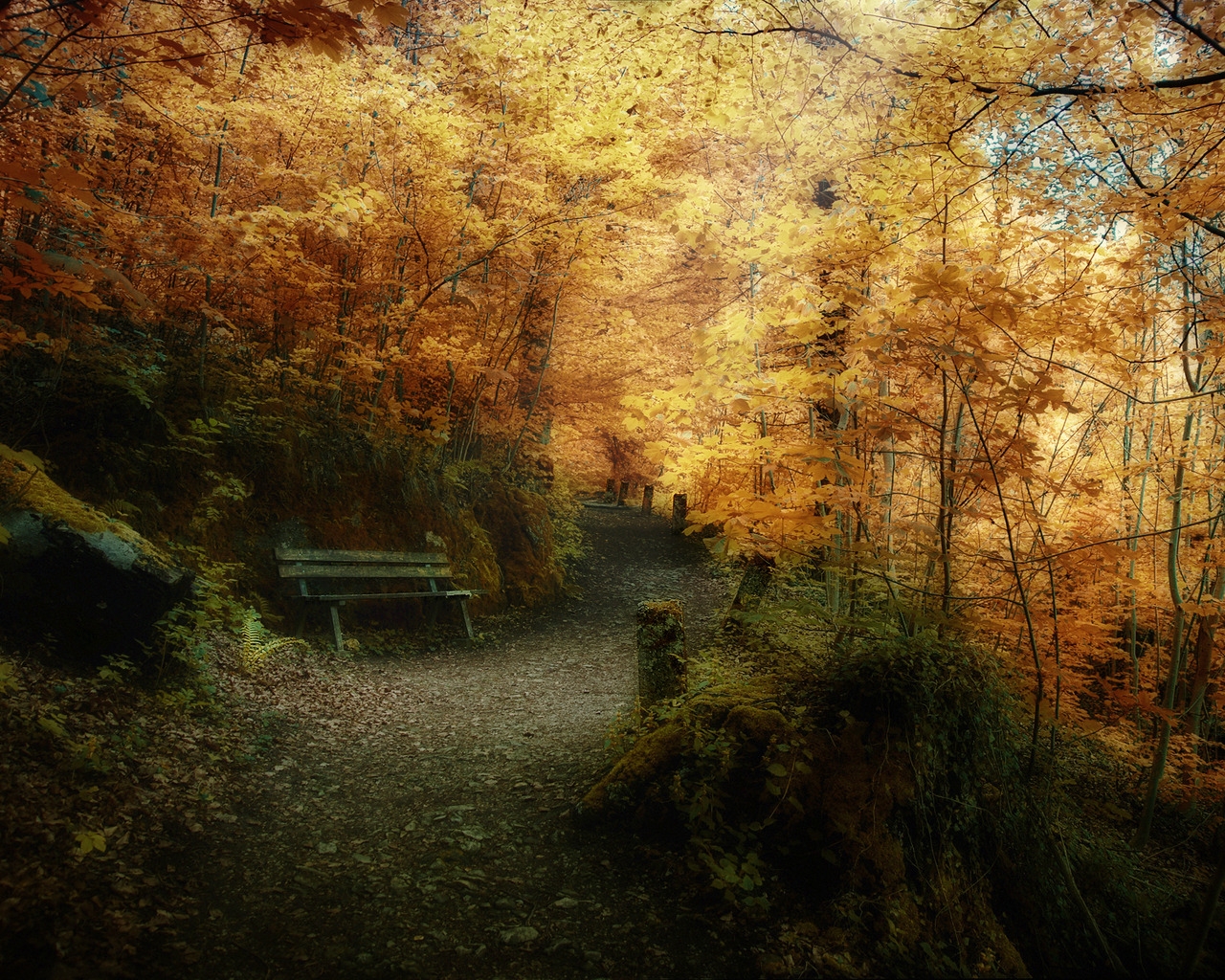 Superb Autumn forest landscape for 1280 x 1024 resolution