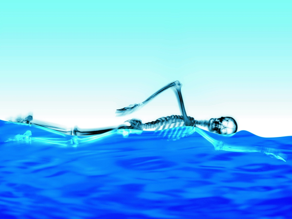 Swimming Skeleton for 1024 x 768 resolution