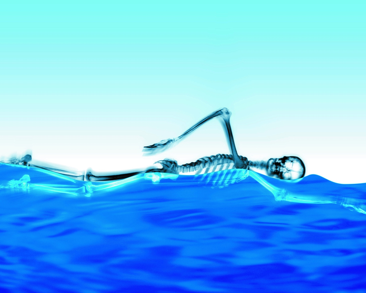 Swimming Skeleton for 1280 x 1024 resolution