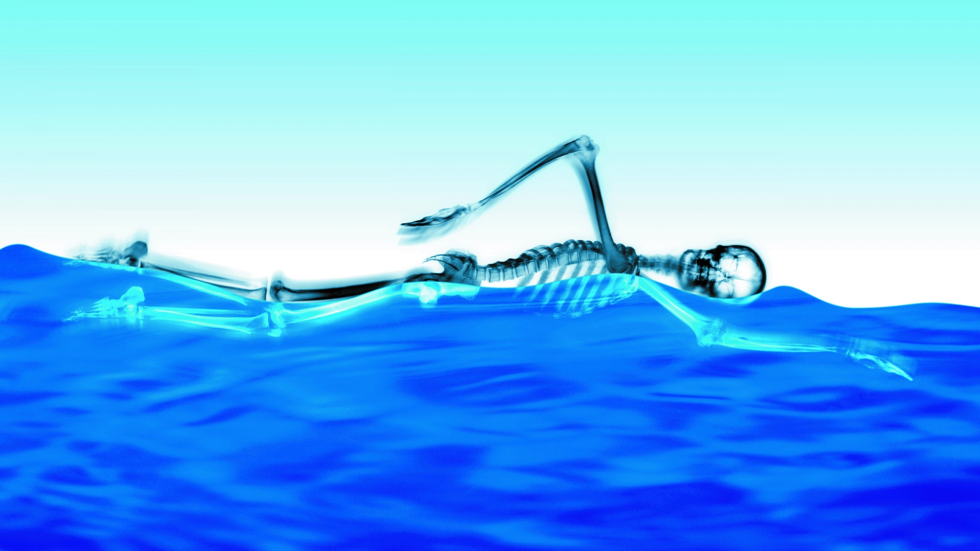 Swimming Skeleton for 1920 x 1080 HDTV 1080p resolution