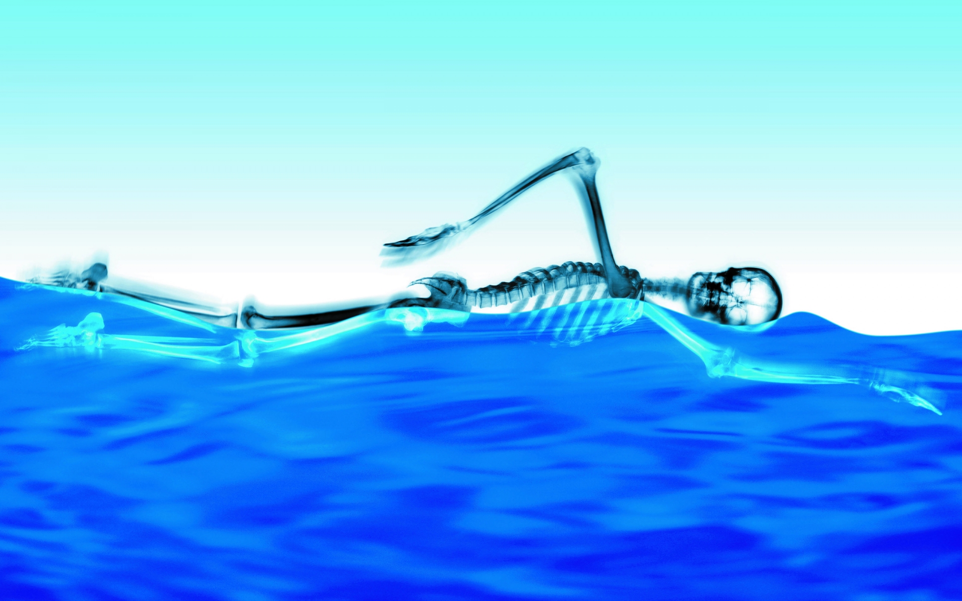 Swimming Skeleton for 1920 x 1200 widescreen resolution