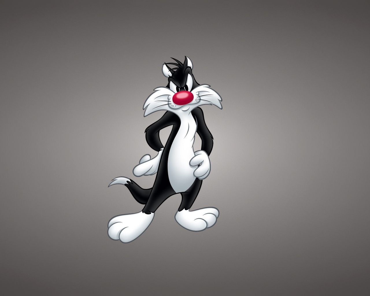 Sylvester the Cat  for 1280 x 1024 resolution