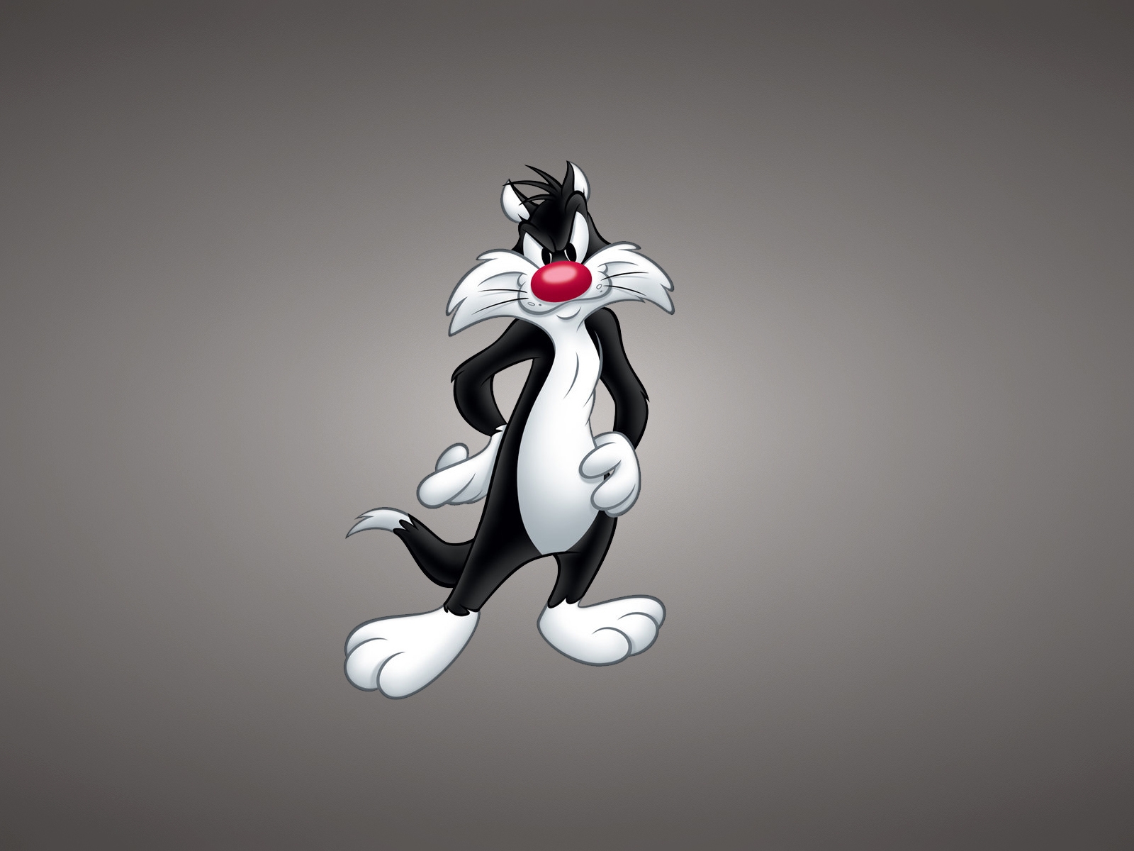 Sylvester the Cat  for 1600 x 1200 resolution