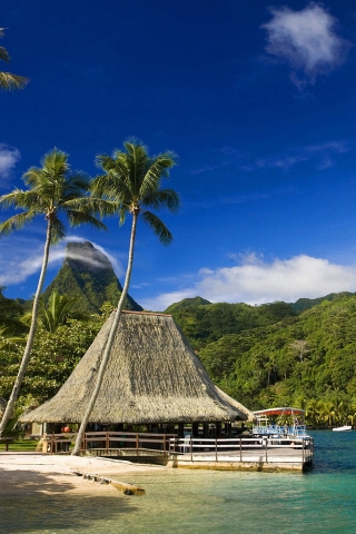 Tahiti Island for 320 x 480 iPhone resolution