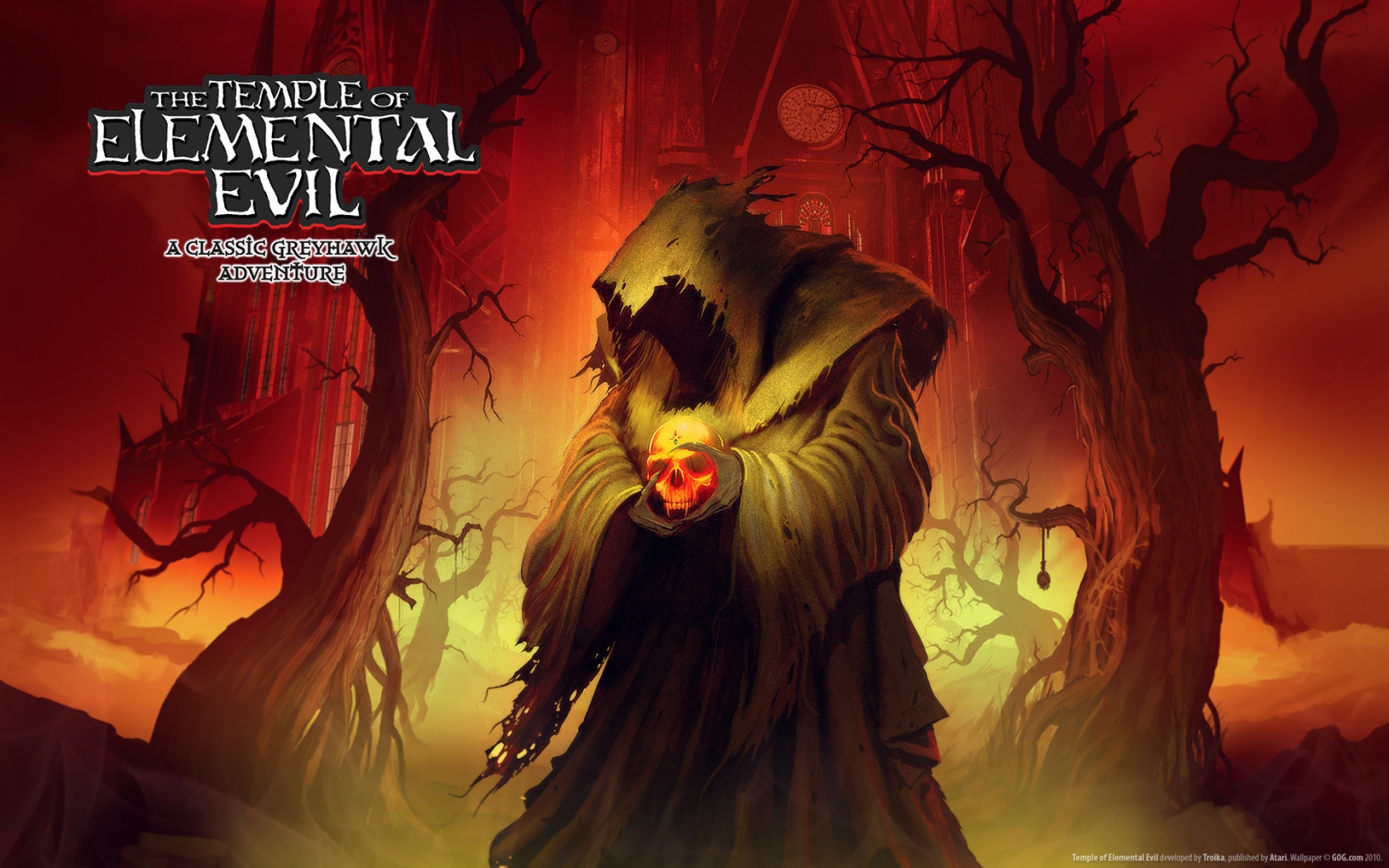 Temple Of Elemental Evil for 1680 x 1050 widescreen resolution