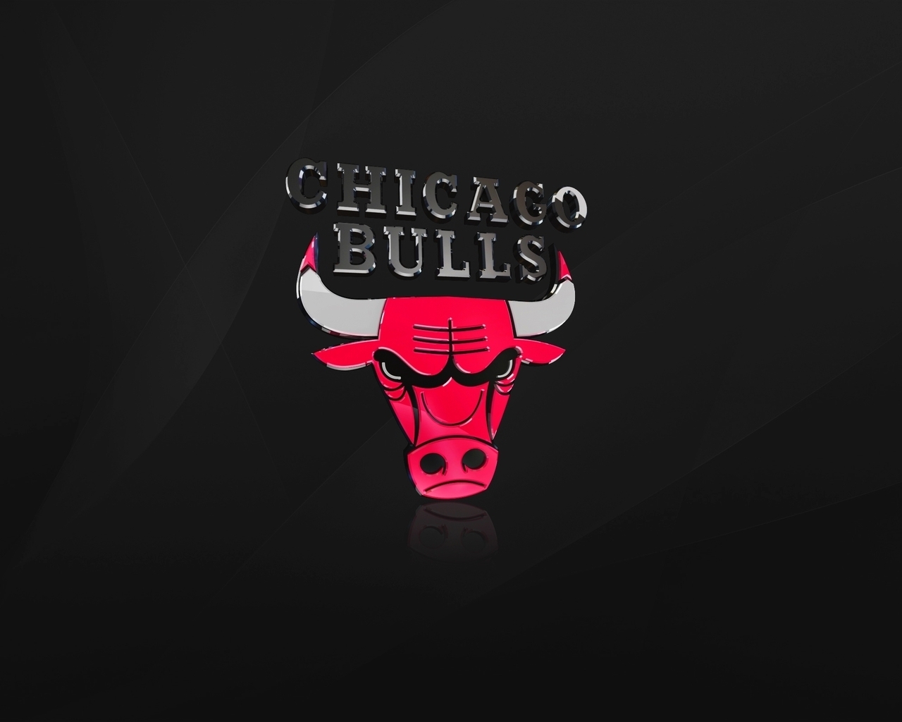 The Chicago Bulls for 1280 x 1024 resolution