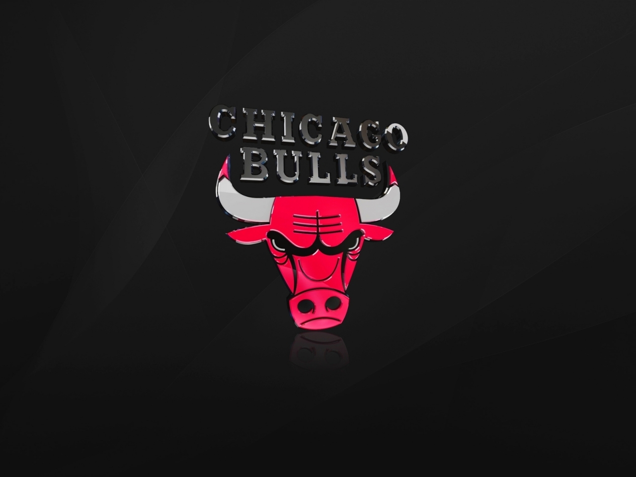 The Chicago Bulls for 1280 x 960 resolution