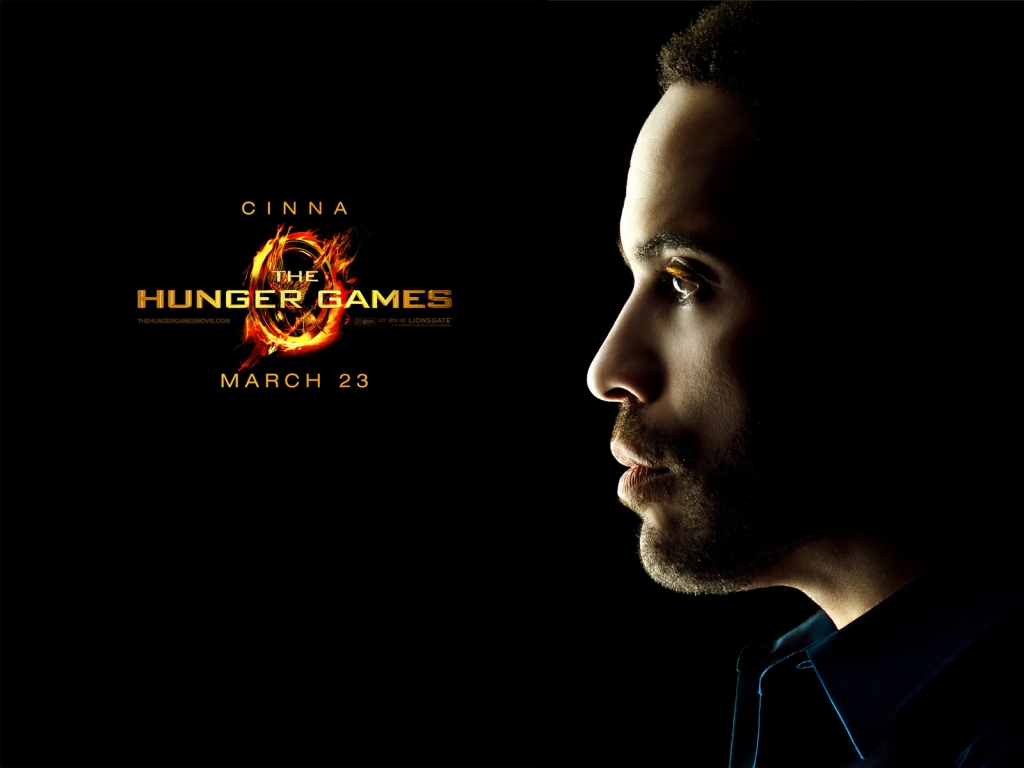 The Hunger Games Cinna for 1024 x 768 resolution