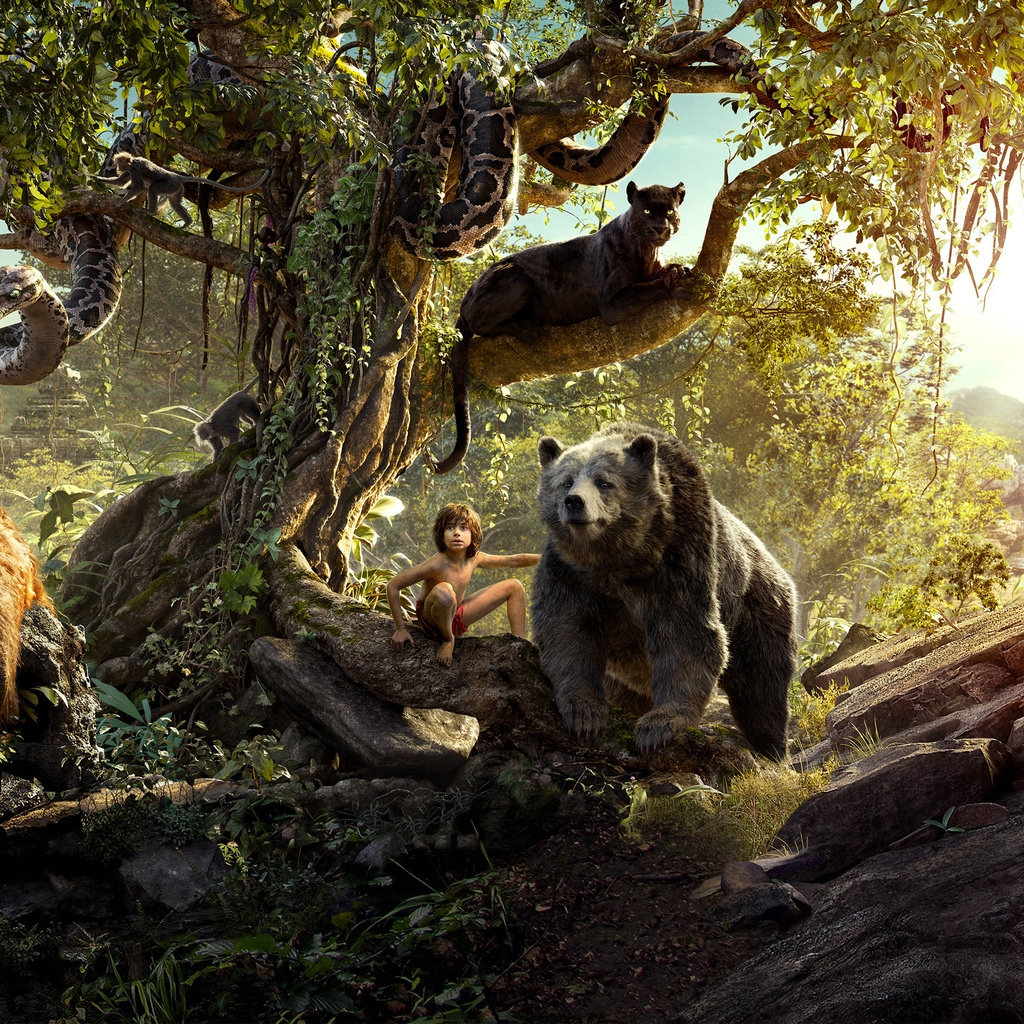 The Jungle Book 2016 Movie for 1024 x 1024 iPad resolution