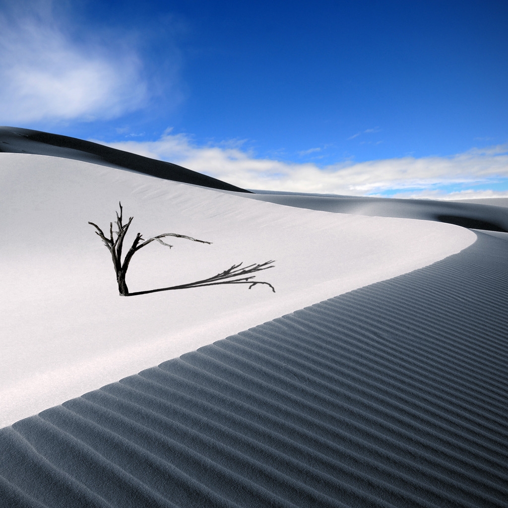 The Lonesome Dune for 1024 x 1024 iPad resolution