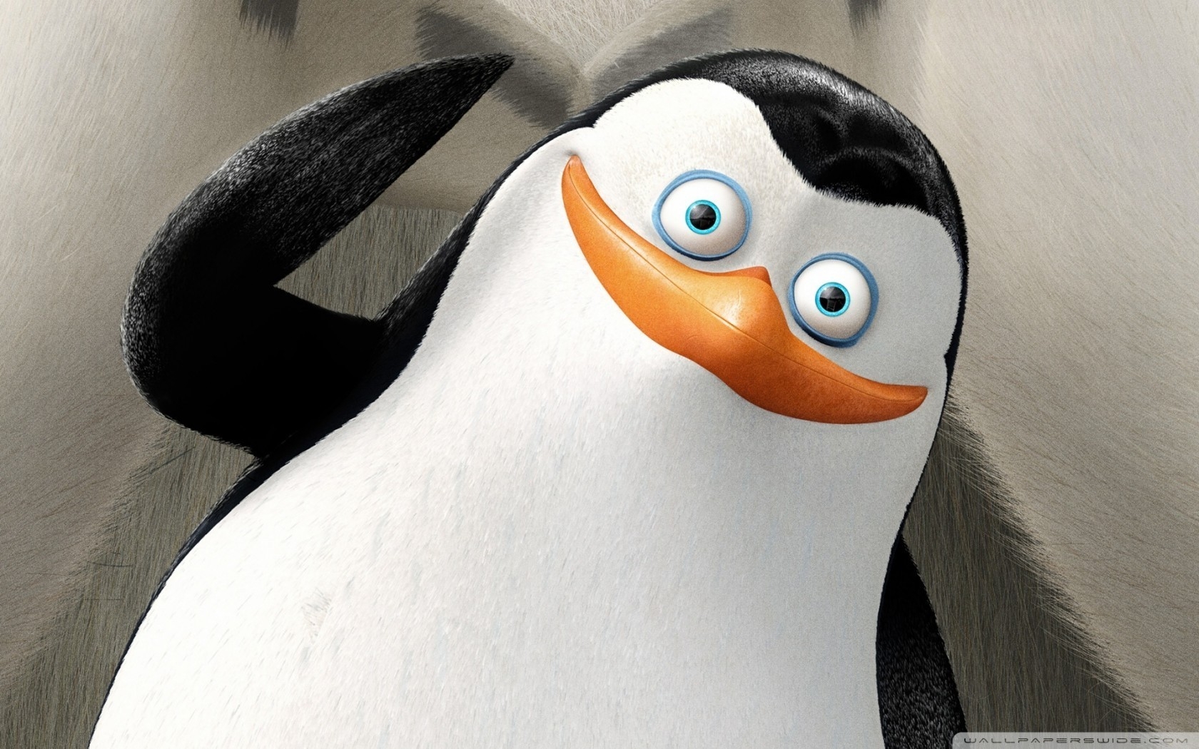 The Penguins of Madagascar Cartoon for 1680 x 1050 widescreen resolution
