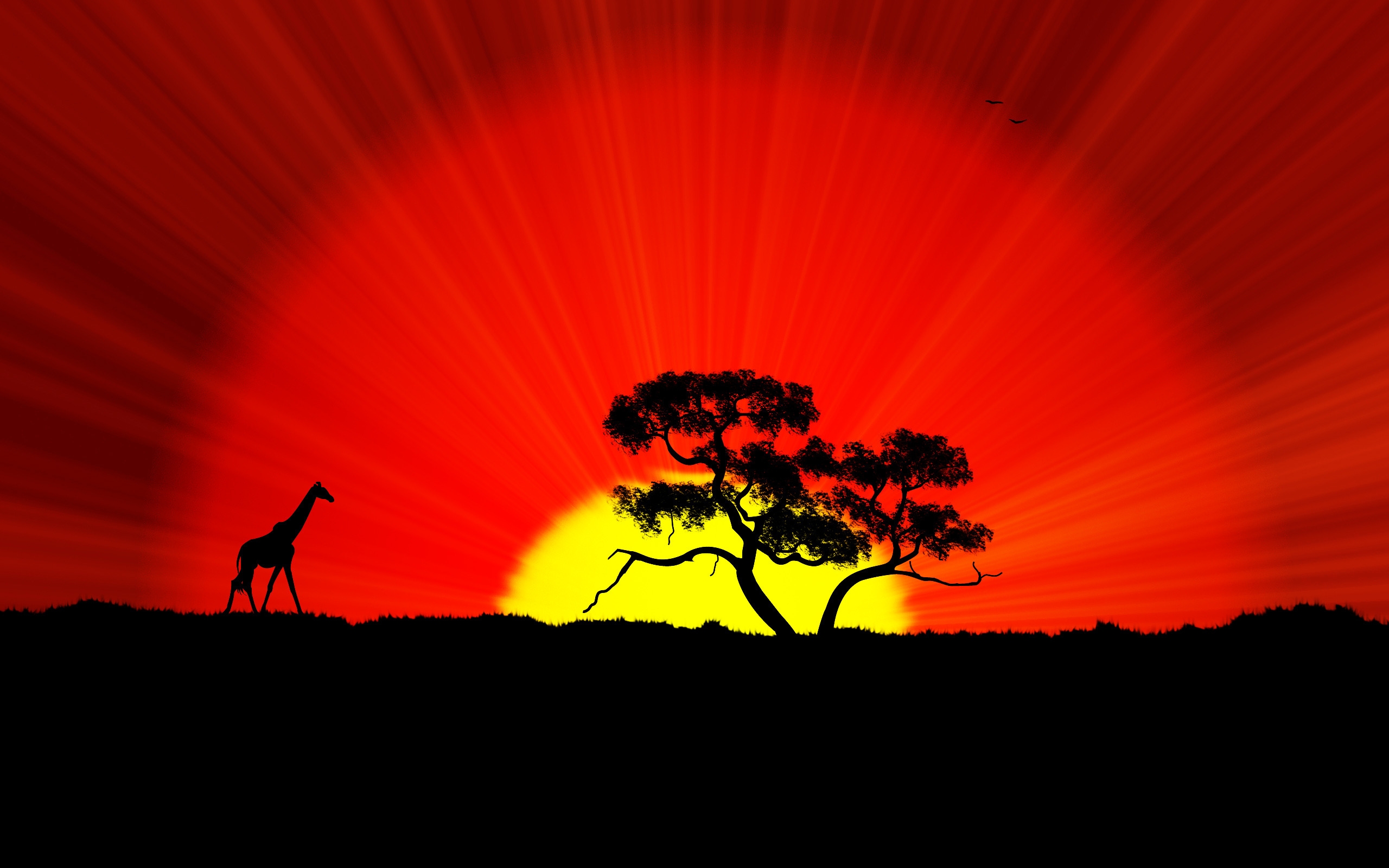 The World Africa for 2560 x 1600 widescreen resolution