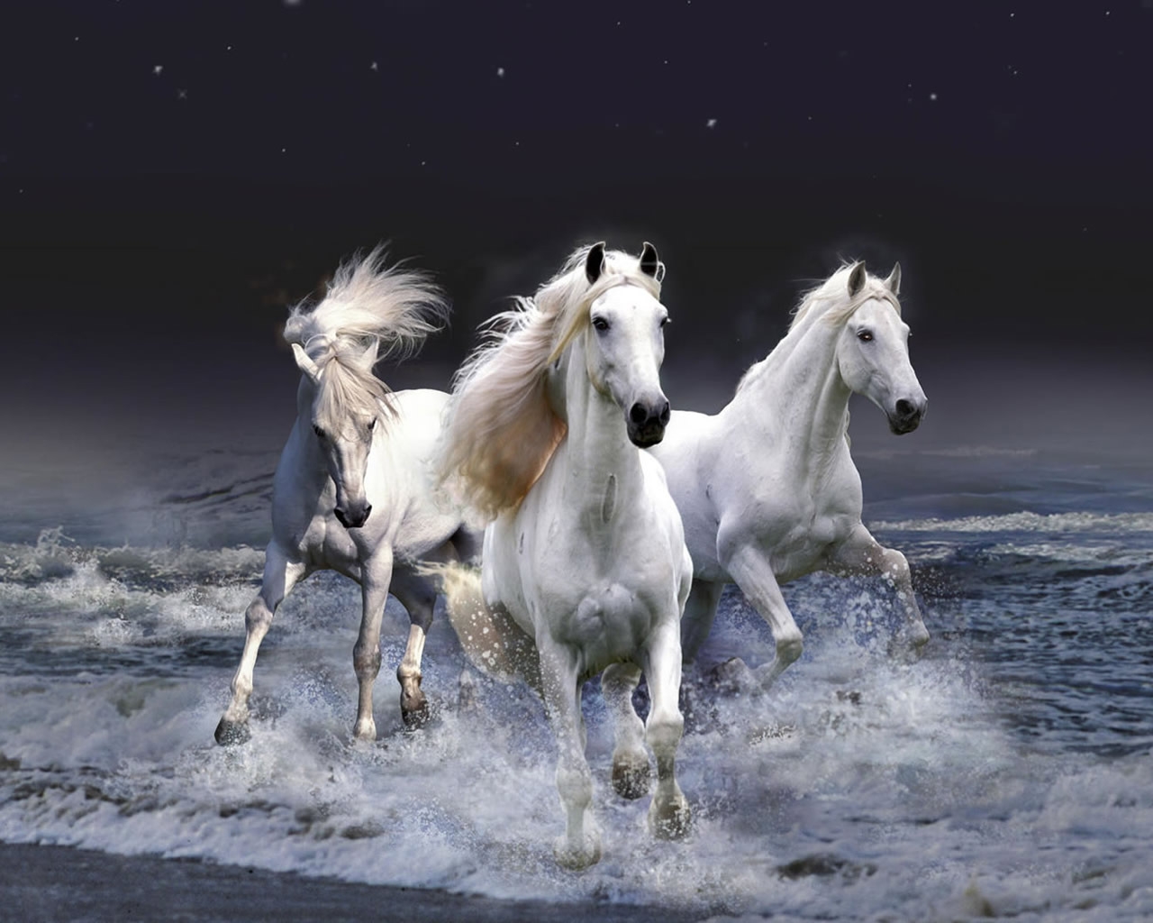 Three White Horses for 1280 x 1024 resolution