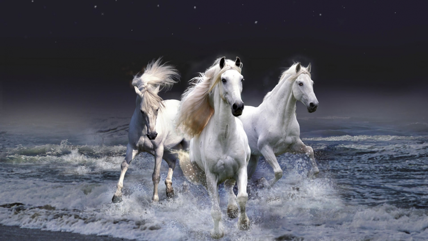 Three White Horses for 1366 x 768 HDTV resolution