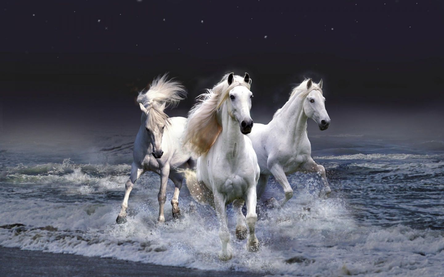 Three White Horses for 1440 x 900 widescreen resolution