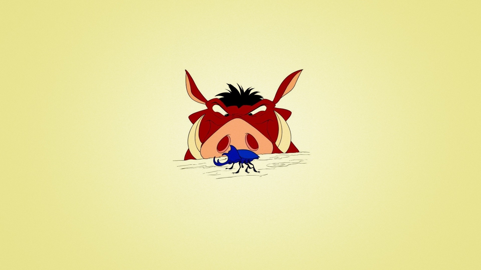 Timon and Pumbaa for 1600 x 900 HDTV resolution